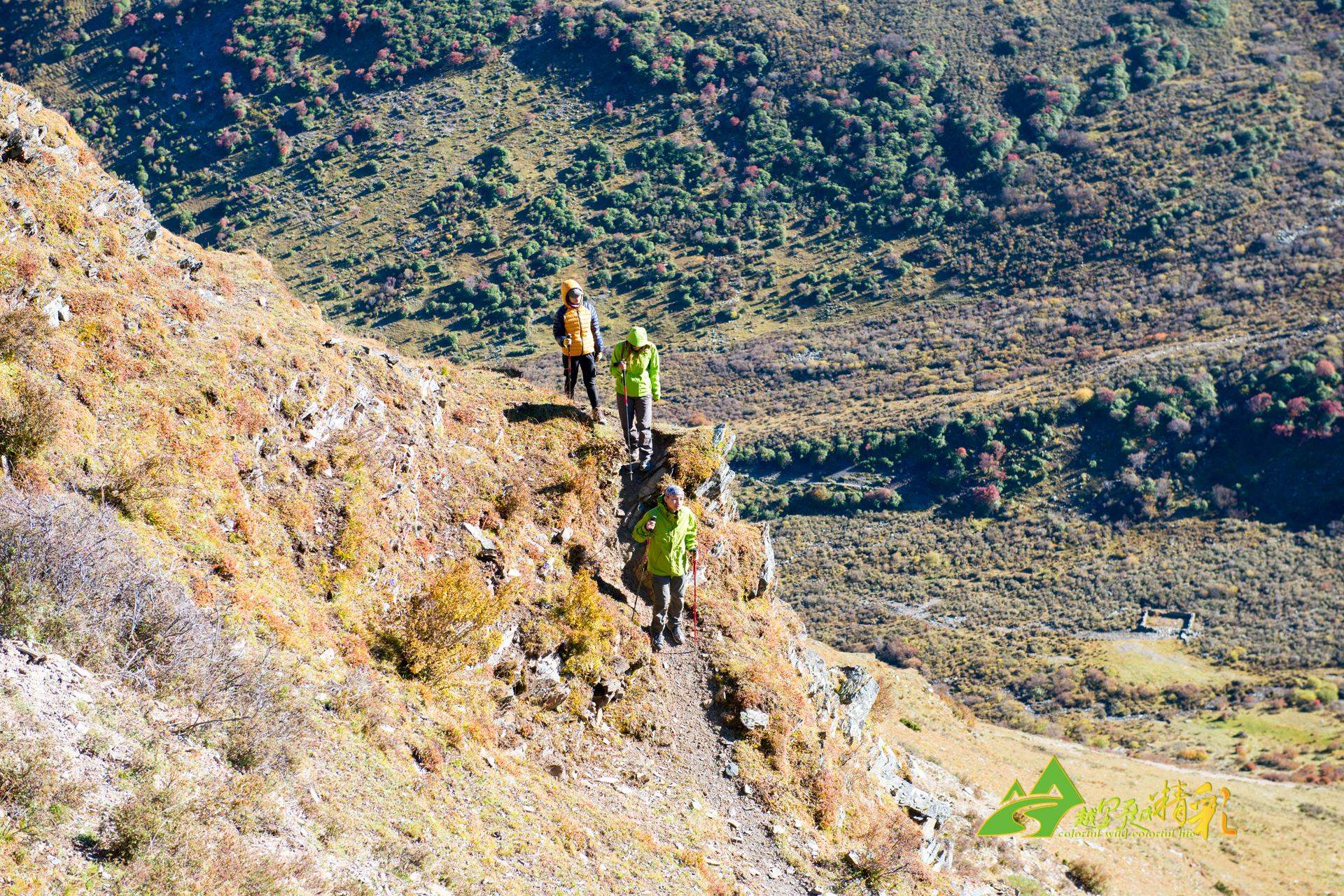 湖人处于安全之中，雷迪克战术或藏拙.
